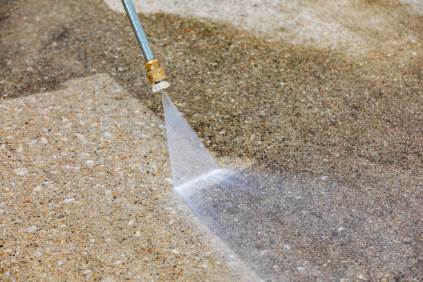 Best Animal Enclosure Cleaning  in Rossville, GA