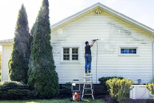 Best Fence Cleaning  in Rossville, GA